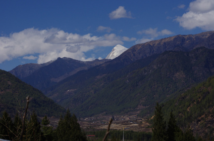 IMGP1619
